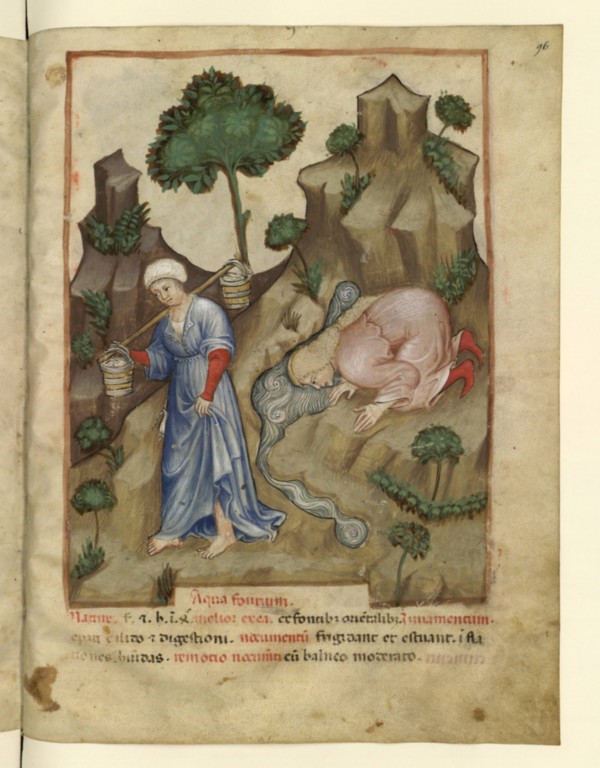 Trinken von Quellwasser. Tacuinum sanitatis, ca. 1390-1400. (Paris, BNF NAL 1673, fol. 96r.)